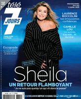 Issue 3384