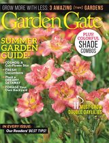 Issue 160 - August 2021