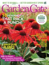 Issue 162 - December 2021