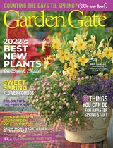 Issue 163 - February 2022