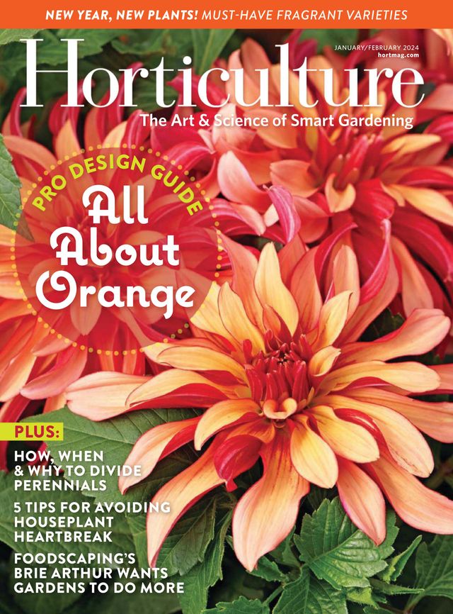 Vuélvete ilimitado con Magzter GOLD