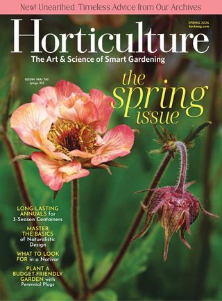 Magazine Cover