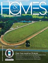 Volume 46 Issue 11