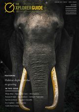 The Xplorer Guide  Cover - Nov - Dec 2020 Edition