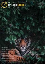 The Xplorer Guide  Cover - March - April 2021 Edition