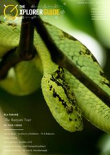 The Xplorer Guide  Cover - July - August 2021 Edition