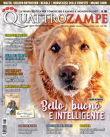 Dicembre 2022 - Gennaio 2023
