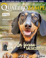 Maggio 2023