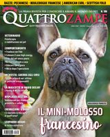 Giugno 2023