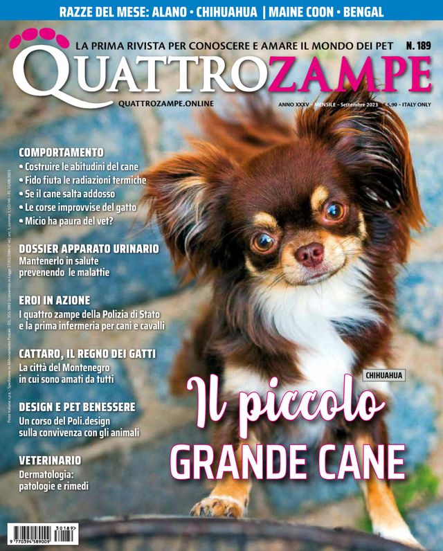 Quattrozampe
