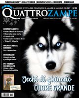 Dicembre 2023 - Gennaio 2024