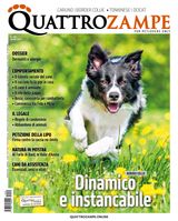 Aprile 2024