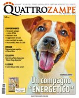 Luglio 2024