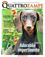 Agosto 2024