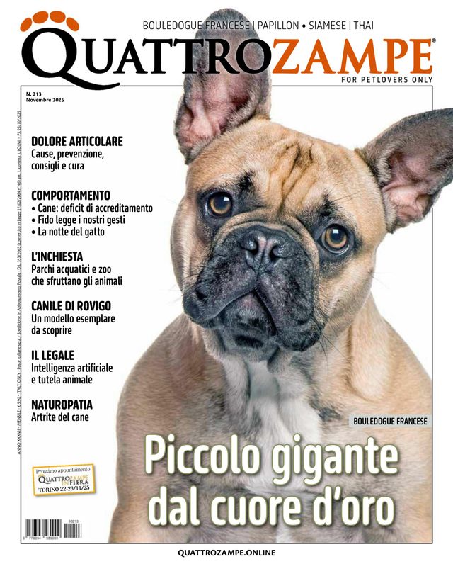 Quattrozampe