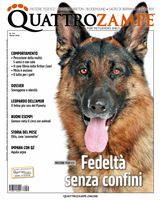 Quattrozampe