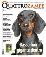 Quattrozampe