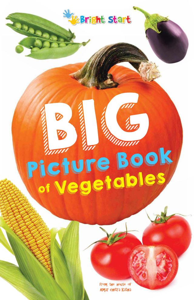 Big Picture Book