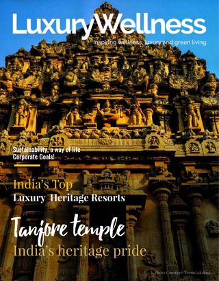 LuxuryWellness - December 2020 LuxuryWellness Cover - December 2020 Edition