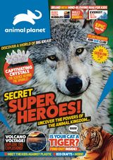 Issue 3