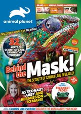 Issue 4
