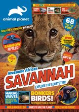 Issue 7