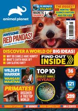 Issue 8
