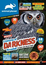Issue 9