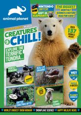 Issue 11