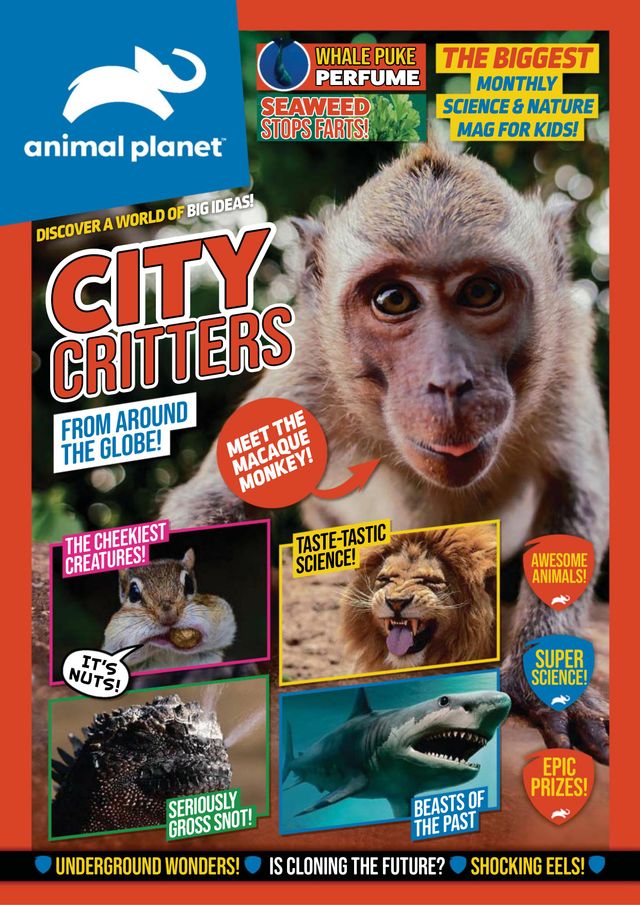 Animal Planet