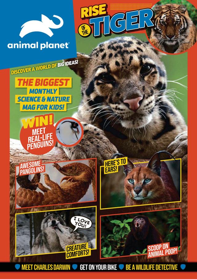 Animal Planet