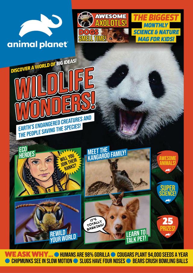 Animal Planet