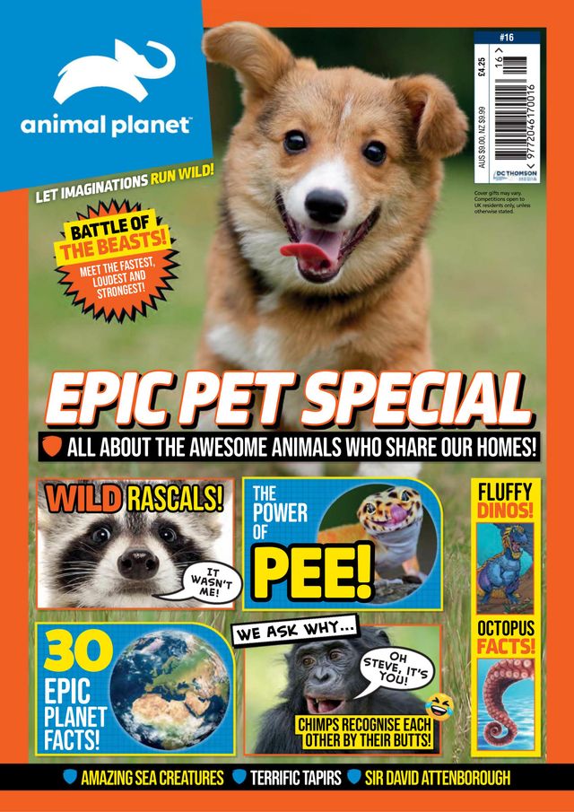 Animal Planet