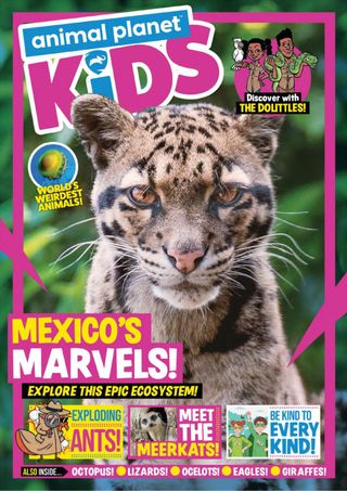 Animal Planet - Issue 26 Animal Planet Cover - Issue 26 Edition