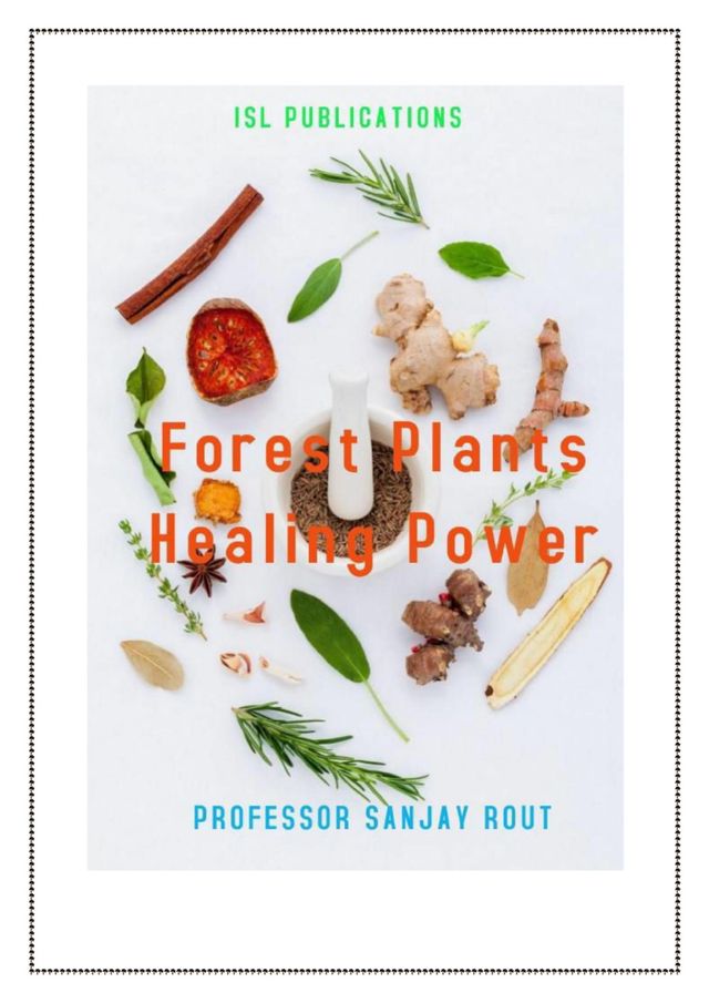 Forest Plants Healing Power