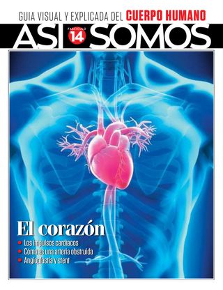 ASI SOMOS - Fasciculo 14 ASI SOMOS Cover - Fasciculo 14 Edition