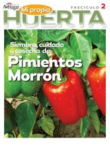 Edition 02