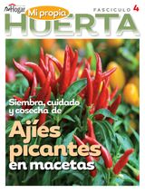 Edition 4