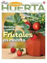 Edition 6