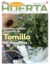 Edition 7