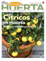Edition 8