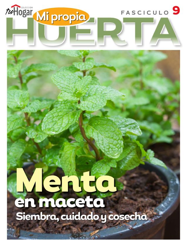 La Huerta en Casa