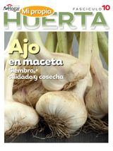 Edition 10