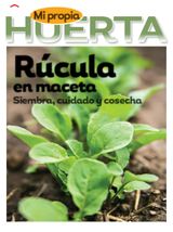 Edition 11