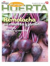 Edition 12