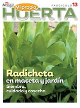 Edition 13