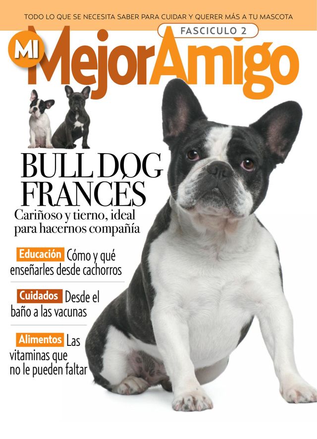 MI MEJOR AMIGO - razas caninas