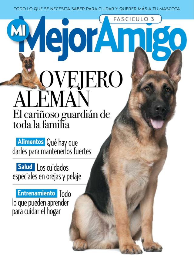 MI MEJOR AMIGO - razas caninas