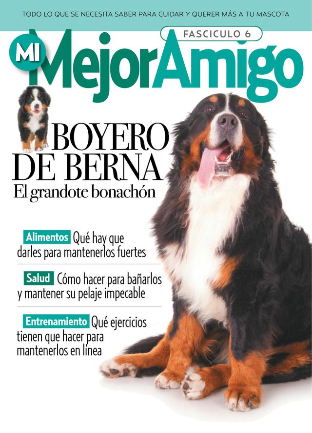 MI MEJOR AMIGO - razas caninas