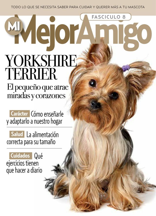 MI MEJOR AMIGO - razas caninas
